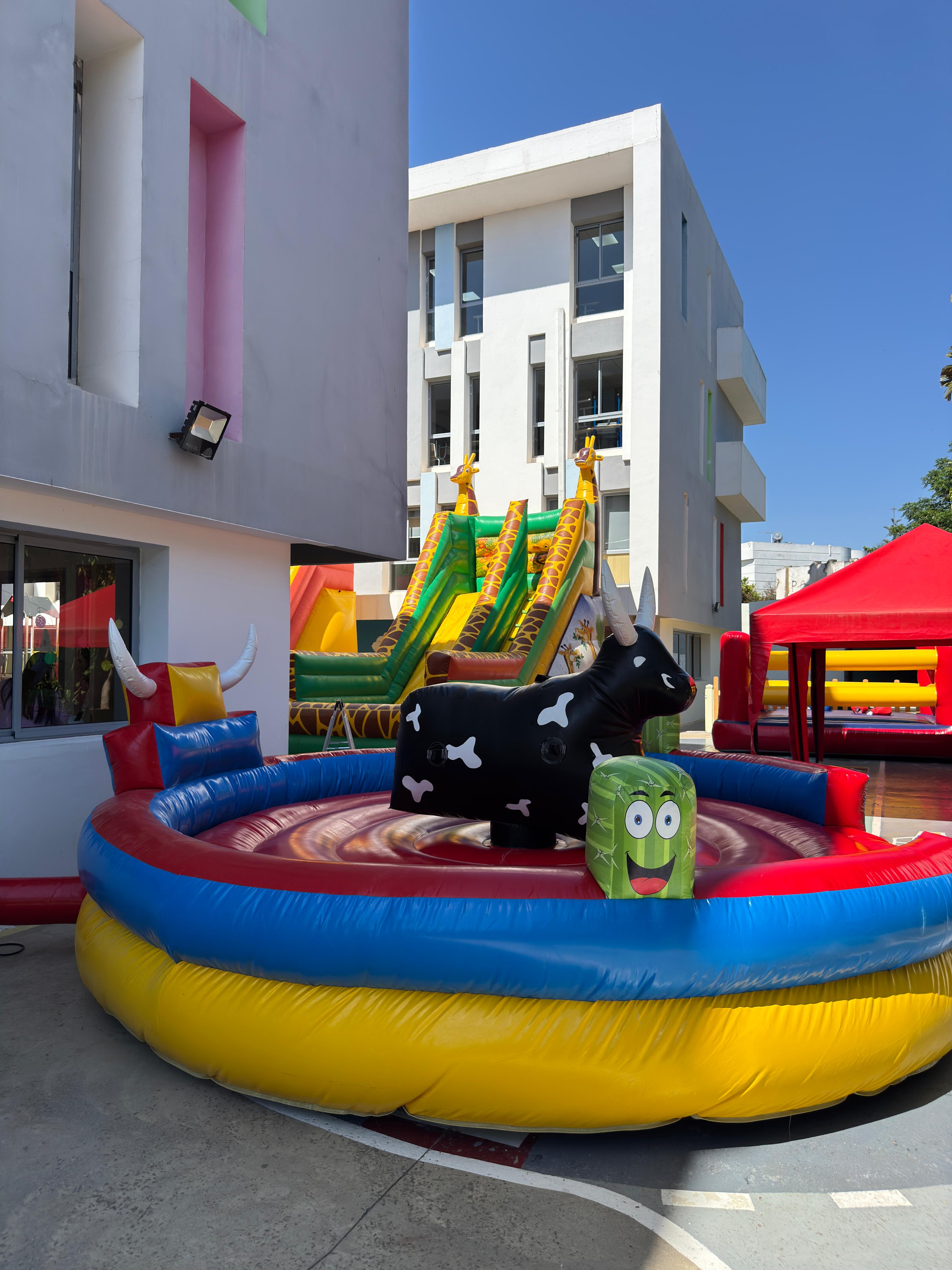 Vente & location Châteaux gonflables